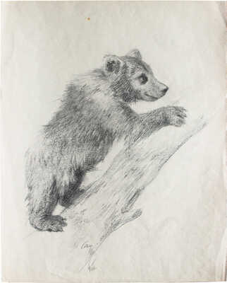 Шендеров Александр Семёнович. Медвежонок на дереве 